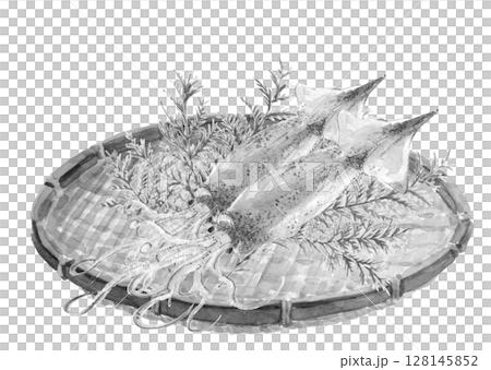 Monotone illustration of squid served in a colander drawn in sumi-e style [hand-drawn] White background Transparent background Copy space available 128145852