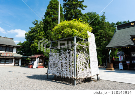 大國魂神社を散策　東京都府中市宮町 128145914