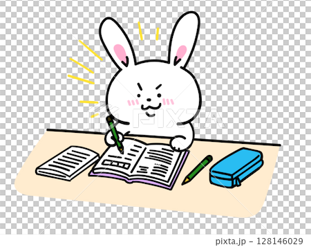 一隻努力學習的兔子 128146029