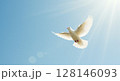 青空に舞う白鳥 128146093