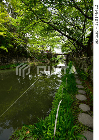 近江八幡　八幡堀　水郷めぐり 128146412