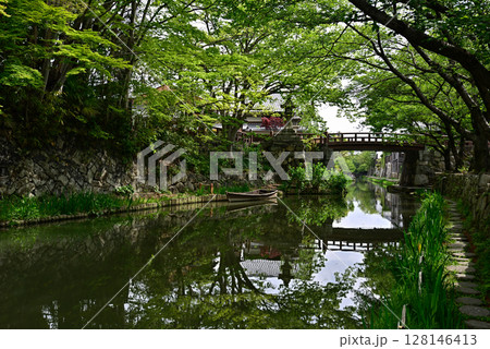 近江八幡 八幡堀 水郷めぐり 近江八幡 八幡堀 水郷めぐり 128146413