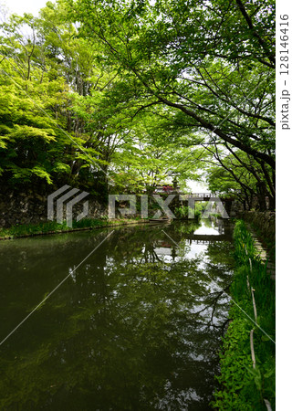 近江八幡 八幡堀 水郷めぐり 近江八幡 八幡堀 水郷めぐり 128146416