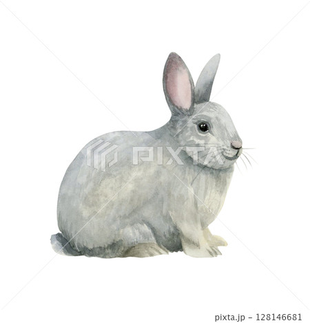 Realistic gray rabbit watercolor illustration isolated on white. Cute farm animal for village and Easter designs. Fluffy bunny pet clip art Realistic gray rabbit watercolor illustration isolated on white. Cute farm animal for village and Easter designs. Fluffy bunny pet clip art 128146681