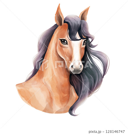 Elegant Horse Illustration 128146747