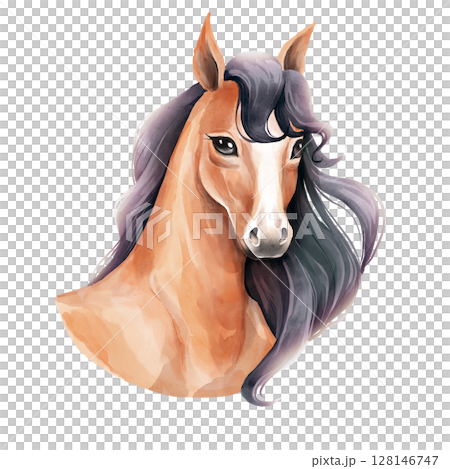 Elegant Horse Illustration 128146747