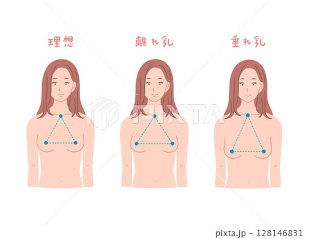 様々な形のバストの女性の上半身イラストセット 128146831