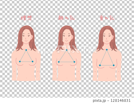 様々な形のバストの女性の上半身イラストセット 128146831