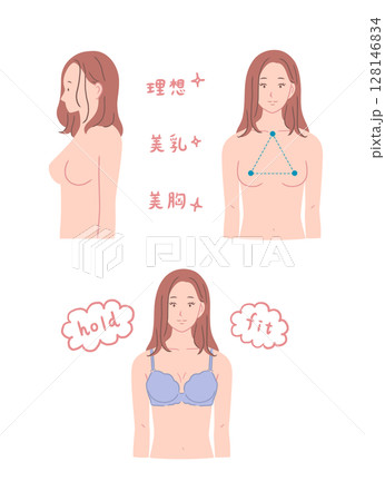 きれいな胸の形の女性のイラストセット きれいな胸の形の女性のイラストセット 128146834