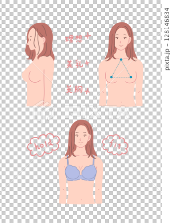きれいな胸の形の女性のイラストセット きれいな胸の形の女性のイラストセット 128146834
