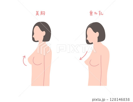 美胸と胸が垂れた女性の横向きイラストセット 128146838