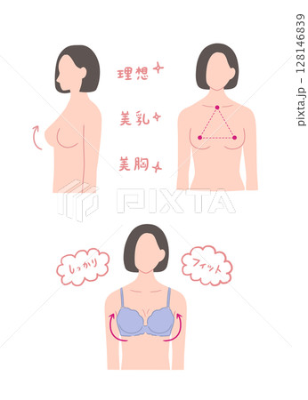 きれいな胸の形の女性のイラストセット 128146839