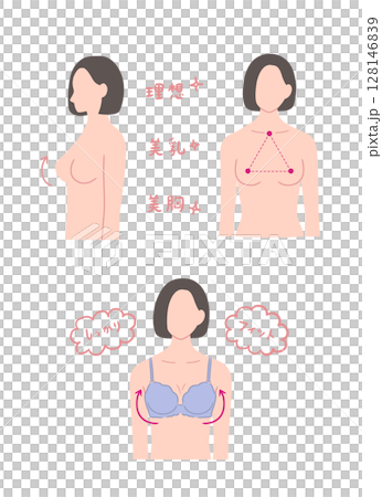 きれいな胸の形の女性のイラストセット 128146839