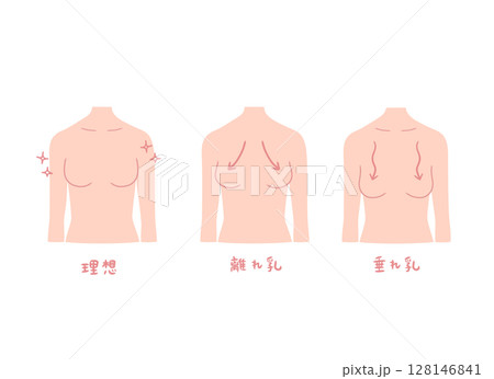 3パターンのバストの女性の上半身イラストセット 3パターンのバストの女性の上半身イラストセット 128146841