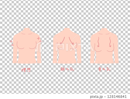 3パターンのバストの女性の上半身イラストセット 3パターンのバストの女性の上半身イラストセット 128146841