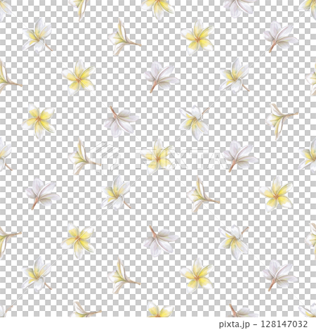 Seamless pattern with plumeria flowers on white background. Isolated watercolor illustration for packaging design, textile printing, restaurant and menu design, summer food courts. Seamless pattern with plumeria flowers on white background. Isolated watercolor illustration for packaging design, textile printing, restaurant and menu design, summer food courts. 128147032