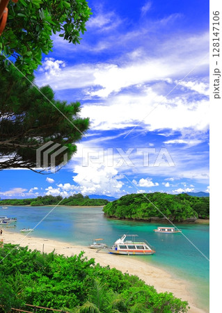 石垣島・川平湾の美しい海 128147106