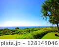 のばれ岬 128148046