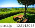 のばれ岬 ウッドデッキ 128148048