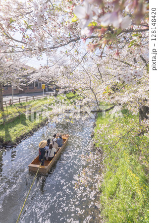 花筏に小舟が通る春の新河岸川 128148420