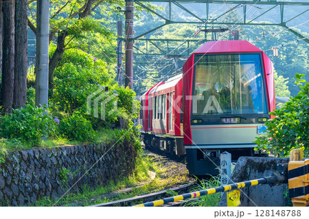 《神奈川県》あじさい電車・箱根登山鉄道強羅駅 128148788