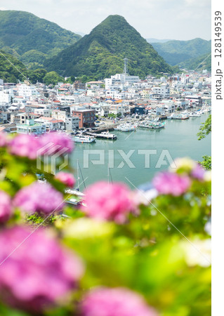 伊豆・下田のあじさい祭りの紫陽花と下田市街 128149539