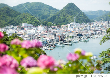 伊豆・下田のあじさい祭りの紫陽花と下田市街 128149728