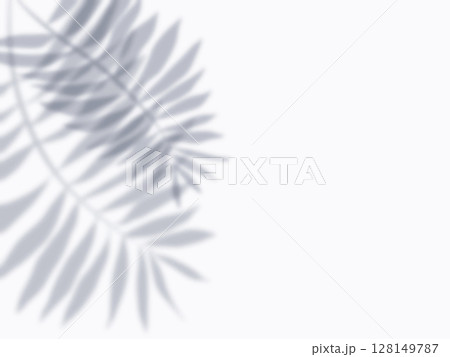 ヤシの葉の影が壁に映る背景素材 128149787