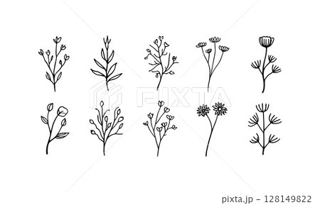 Delicate Ink Flowers. Light and delicate ink flower drawings with blooming heads and elegant organic composition. 128149822