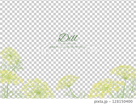 水彩手書きの新鮮なディルの花と葉っぱの背景素材 128150400