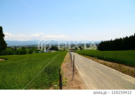 奥羽山脈の小麦畑から見える北上高地(早池峰山) 奥羽山脈の小麦畑から見える北上高地(早池峰山) 128150412