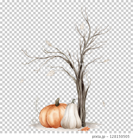 Watercolor illustration Tree without leaves silhouette and pumpkins isolated on white background. Brown dry straight twig or Trees for Halloween with autumn leaves and grey earth. Minimalist style. 128150505