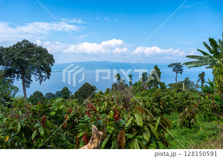 Panoramic view of Lake Poso in Tentena, Sulawesi, Indonesia 128150591