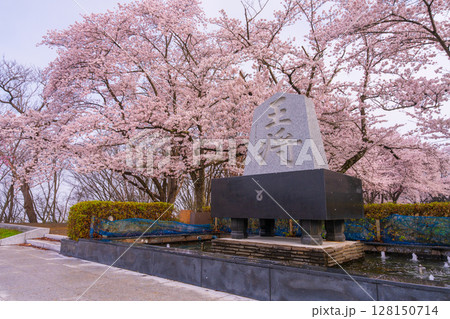 満開の桜に包まれる舞鶴山 128150714