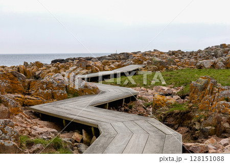 Coast line of sea. Stones covered with yellow and green moss and cloudy sky. Coast line of sea. Stones covered with yellow and green moss and cloudy sky. 128151088