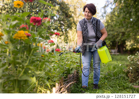 Woman spraying flowers in his garden with insecticides from spray bottle Woman spraying flowers in his garden with insecticides from spray bottle 128151727