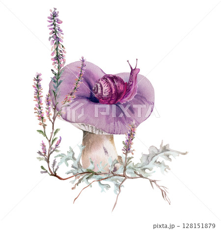 Russula webcap mushroom, snail on top, moss lichen growth, heather flowers. Forest floor habitat scene. Nature illustration hand drawn in watercolor. Gardening guides calendars, cards labels print art 128151879