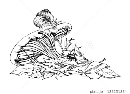 Russula cortinarius webcap mushroom, crawling snail on cap, on top of fallen autumn leaves pile with twigs. Forest floor, backyard garden scene. Fungi natural illustration hand drawn in vector ink. 128151884