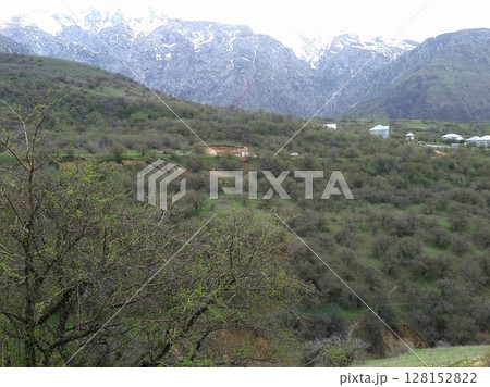 A picturesque mountain valley with snow-covered peaks in the background, dotted with small houses and dense tree cover under an overcast sky, offering a tranquil rural setting 128152822