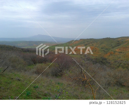 A serene landscape featuring rolling hills with patches of green grass and bare trees under a cloudy sky, with distant mountains faintly visible on the horizon A serene landscape featuring rolling hills with patches of green grass and bare trees under a cloudy sky, with distant mountains faintly visible on the horizon 128152825