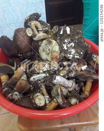 Rustic Red Basket Filled with Freshly Harvested Mushrooms on a Wooden Surface 128154286