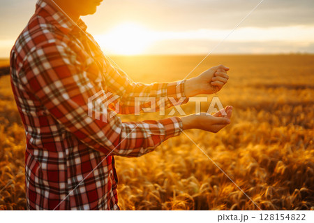 Hands Of Farmer Close-up Holding Handful Of Wheat Grains In Wheat Field. Growth nature harvest. 128154822