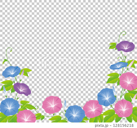 夏の花朝顔04 128156218