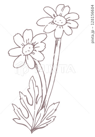 花のスケッチ素材。ベクターイラスト素材。 128156684