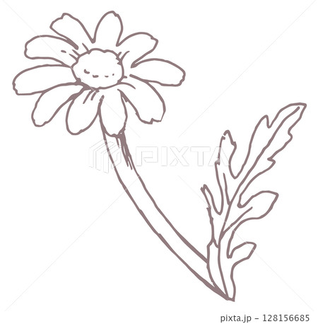 花のスケッチ素材。ベクターイラスト素材。 128156685
