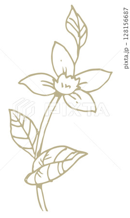 花のスケッチ素材。ベクターイラスト素材。 128156687