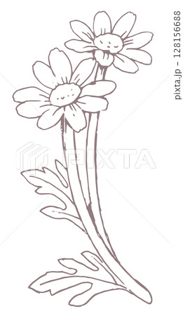 花のスケッチ素材。ベクターイラスト素材。 128156688