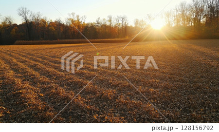 Autumn Sunset over Harvested Soybean Field 128156792