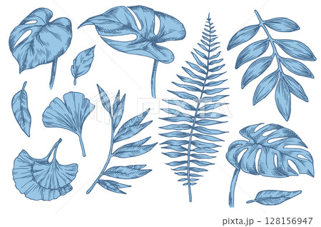 Set of blue tropical forest leaves. Vector illustration in sketch style. 128156947