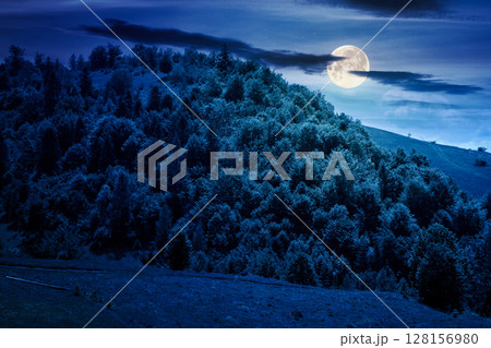 summer landscape with forest on the hill at night. scenic view of highlands in full moon light. flora and vegetation in countryside. scenery under dark blue sky 128156980